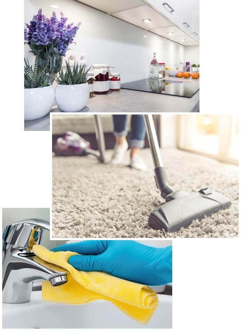 Nettoyage et entretien ménager 